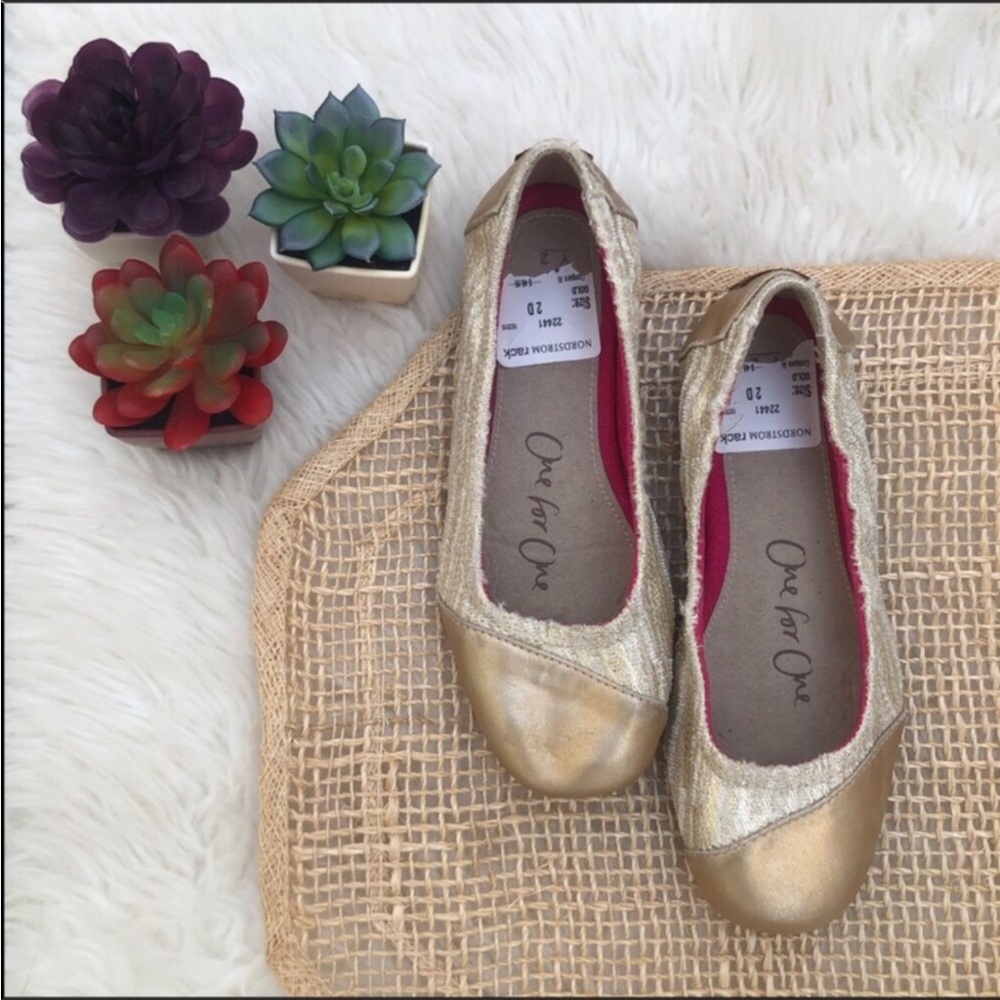 Toms Metallic Ballet Flats Y2